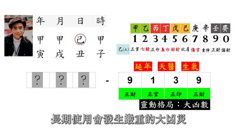 八字車牌|完美車牌號 林志穎 (己土命 身官兩停格)